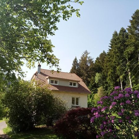 Vosges House 110 M2 In The Heart Of Nature L'Oree Du Bois Saint-Michel-sur-Meurthe Eksteriør bilde