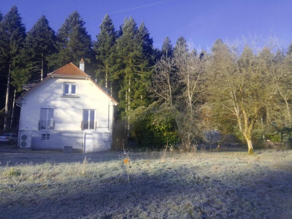 Vosges House 110 M2 In The Heart Of Nature L'Oree Du Bois Saint-Michel-sur-Meurthe Eksteriør bilde