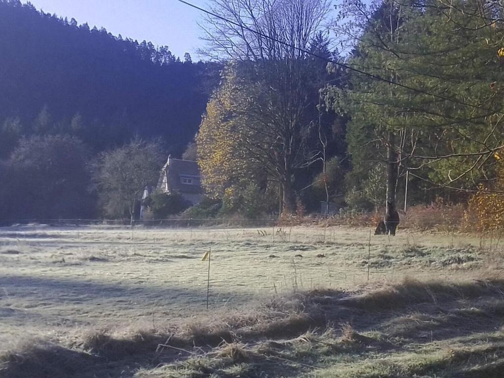 Vosges House 110 M2 In The Heart Of Nature L'Oree Du Bois Saint-Michel-sur-Meurthe Eksteriør bilde