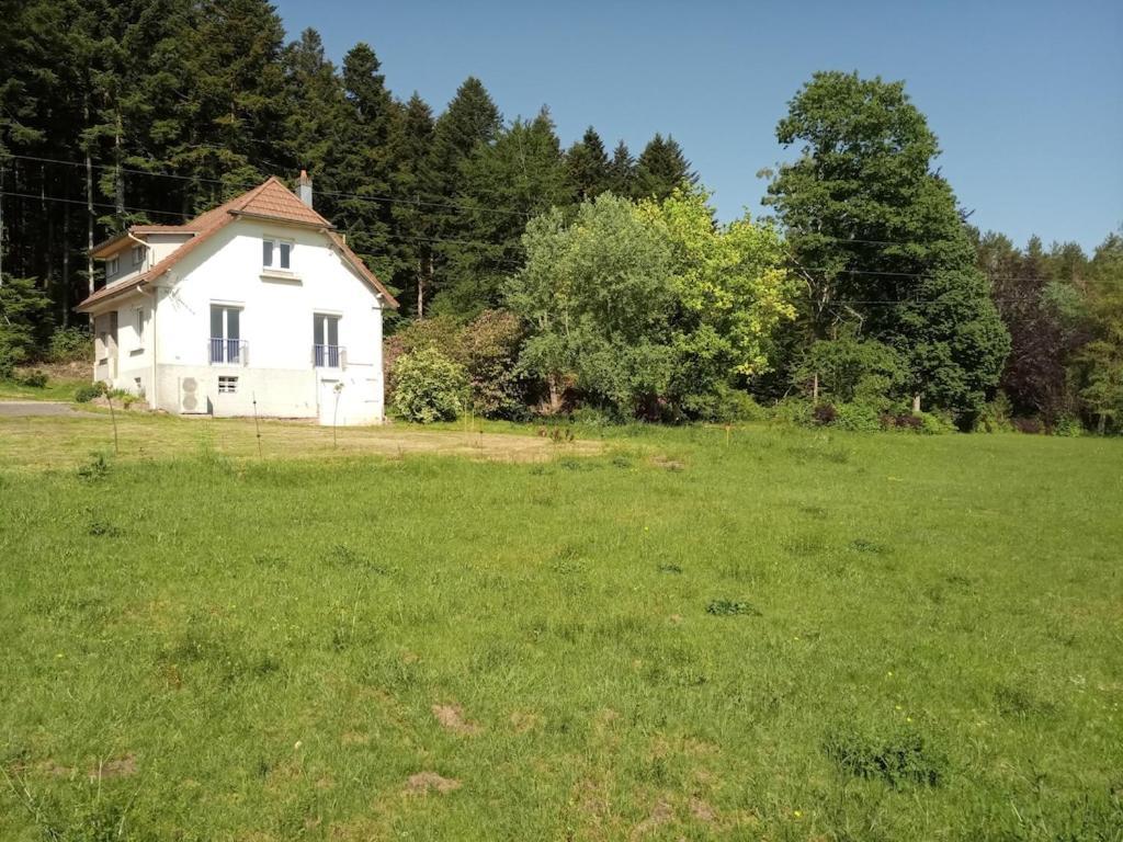Vosges House 110 M2 In The Heart Of Nature L'Oree Du Bois Saint-Michel-sur-Meurthe Eksteriør bilde