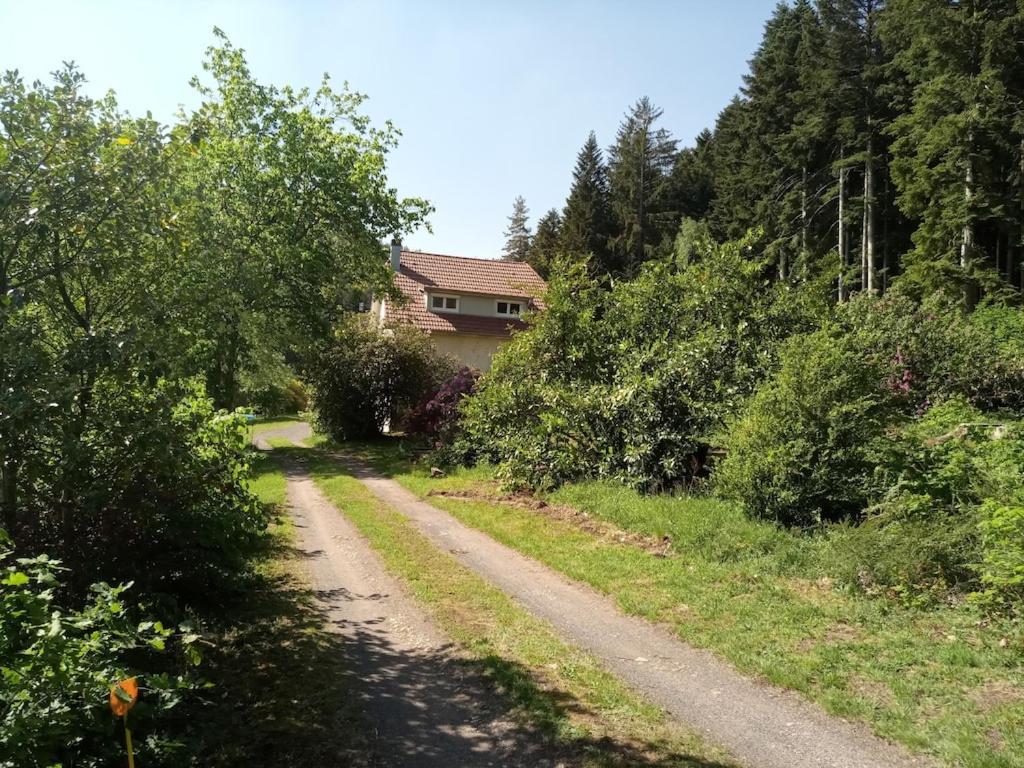 Vosges House 110 M2 In The Heart Of Nature L'Oree Du Bois Saint-Michel-sur-Meurthe Eksteriør bilde