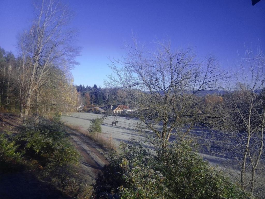 Vosges House 110 M2 In The Heart Of Nature L'Oree Du Bois Saint-Michel-sur-Meurthe Eksteriør bilde