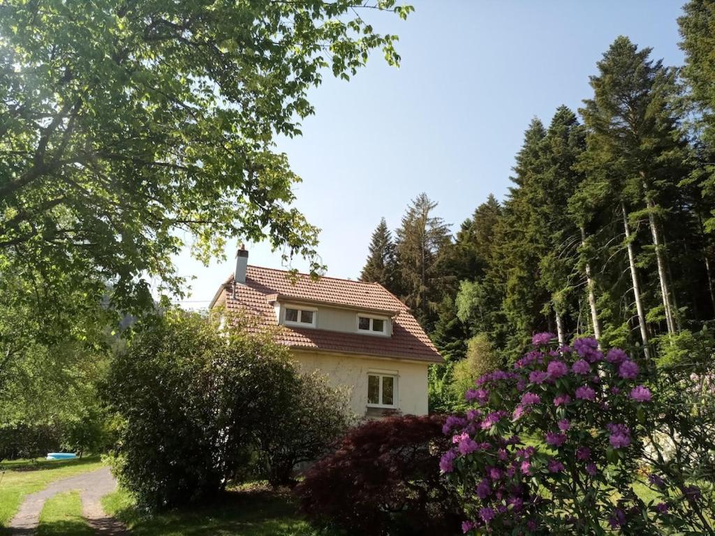 Vosges House 110 M2 In The Heart Of Nature L'Oree Du Bois Saint-Michel-sur-Meurthe Eksteriør bilde