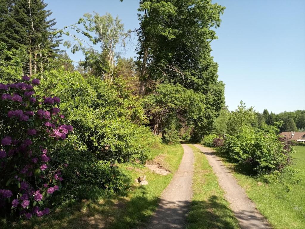 Vosges House 110 M2 In The Heart Of Nature L'Oree Du Bois Saint-Michel-sur-Meurthe Eksteriør bilde