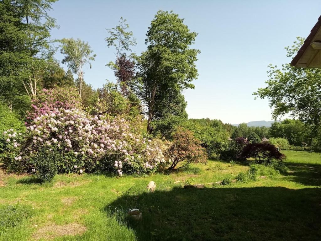 Vosges House 110 M2 In The Heart Of Nature L'Oree Du Bois Saint-Michel-sur-Meurthe Eksteriør bilde