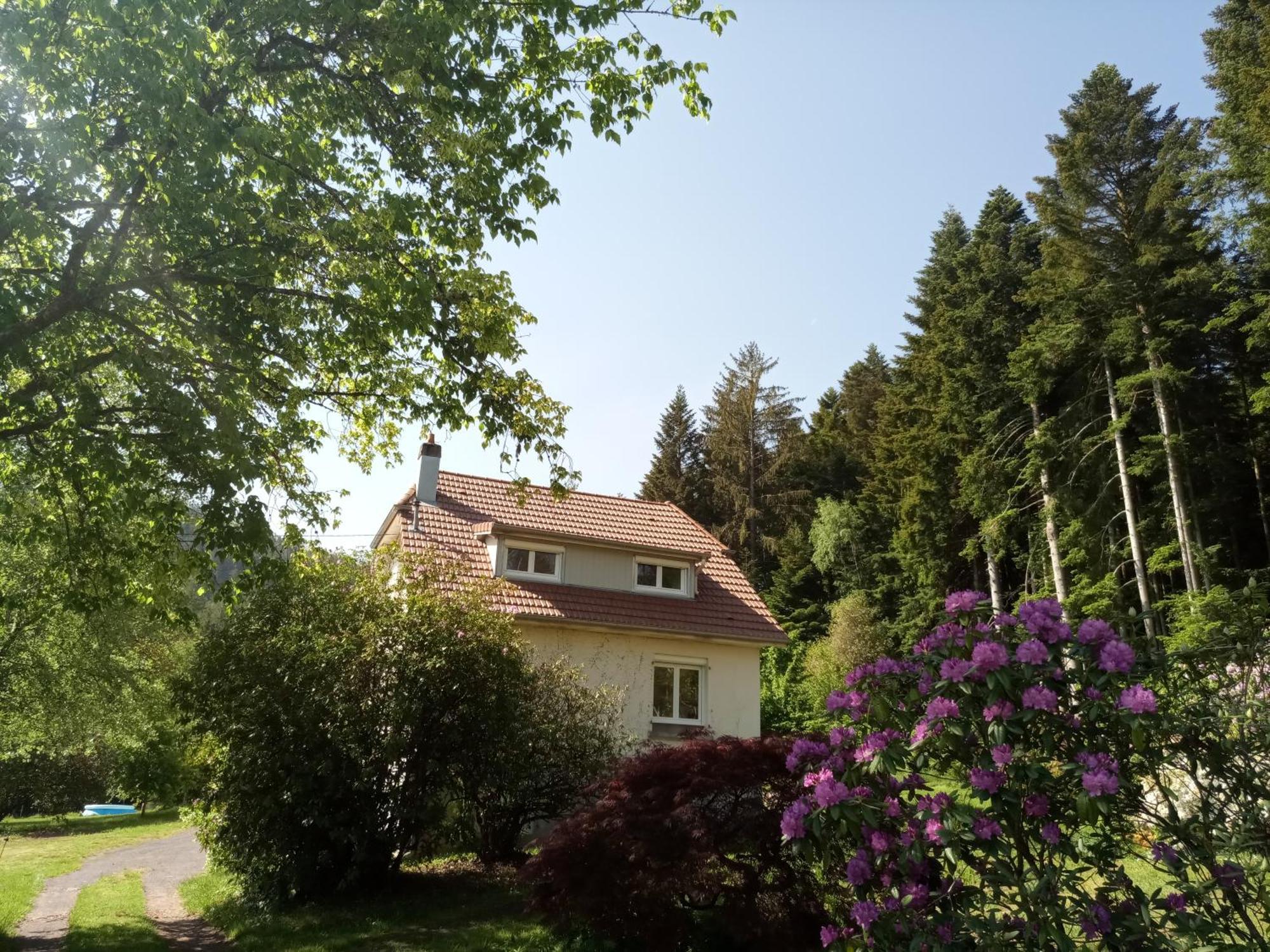 Vosges House 110 M2 In The Heart Of Nature L'Oree Du Bois Saint-Michel-sur-Meurthe Eksteriør bilde